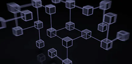 Digital Information Resources